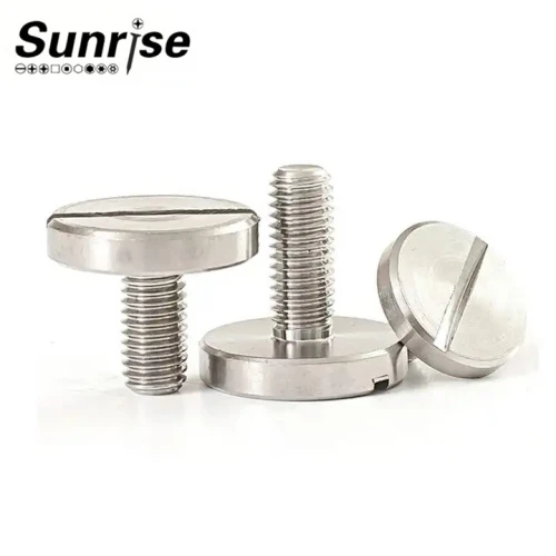 Stainless Steel 304 316 Large Round Flat Head Slotted Machine Screw 7